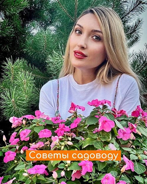10 полезных советов для садоводов 10 полезных советов для садоводов